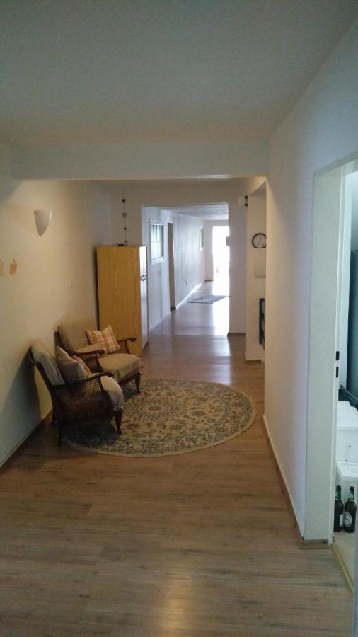 Pension Wiesental Kültér fotó